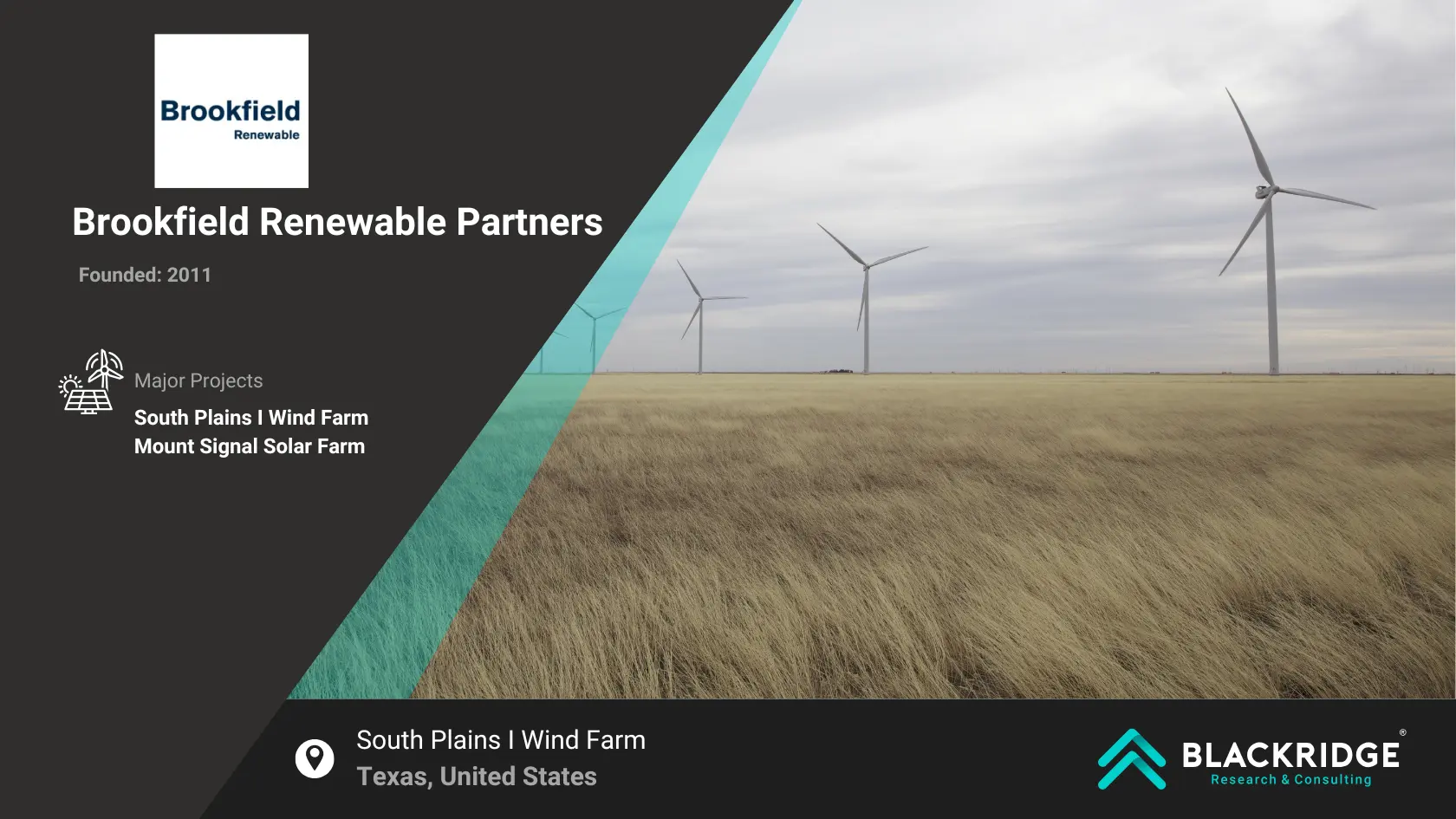 big renewable energy companies